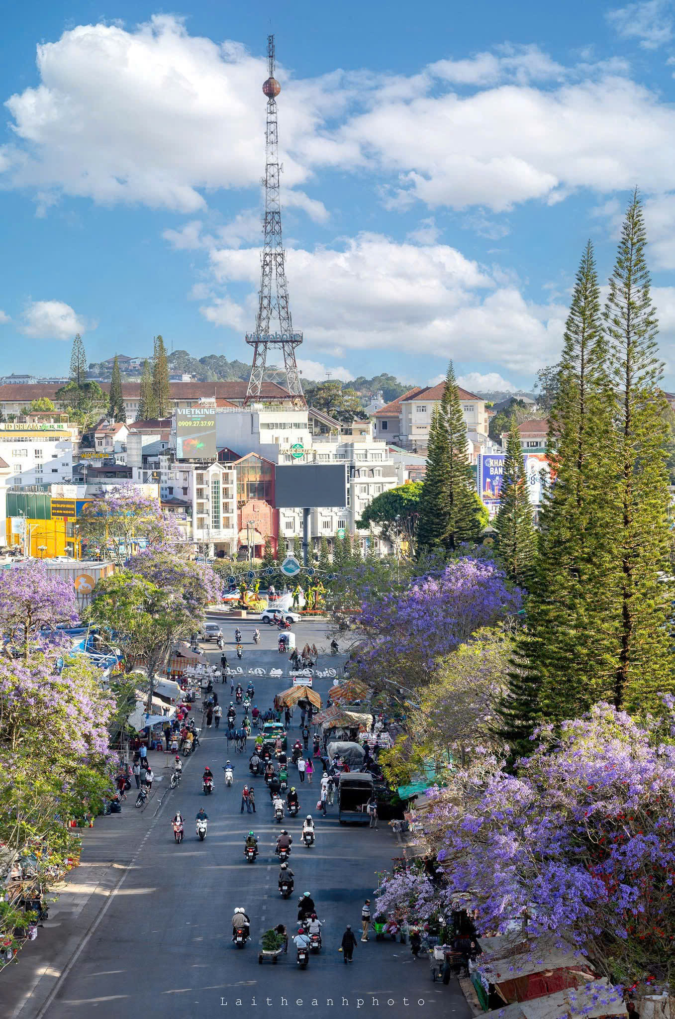 Đà Lạt mùa phượng tím mang vẻ đẹp lãng mạn, dịu dàng đến xiêu lòng. (Ảnh: Lại Thế Anh) Đà Lạt mùa phượng tím mang vẻ đẹp lãng mạn, dịu dàng đến xiêu lòng. (Ảnh: Lại Thế Anh)