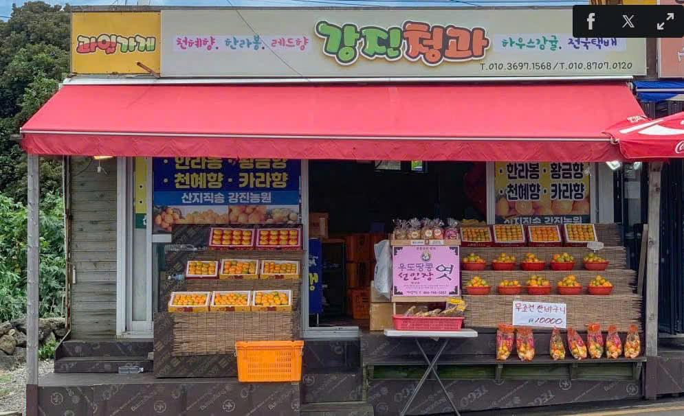 Quýt là một đặc sản vô cùng nổi tiếng tại Jeju nên có rất nhiều cửa hàng bày bán loại hoa quả này trên đảo. (Ảnh: crazilili23)