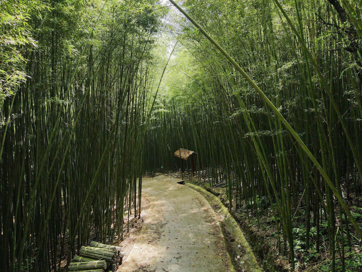 Khung cảnh đẹp như trong các phim kiếm hiệp. (Ảnh: Hoàng Hiếu)