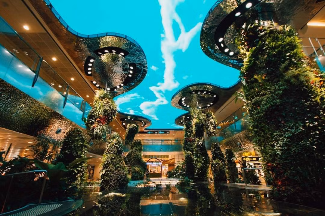 Mảng xanh tuyệt đẹp tại sân bay Changi. (Ảnh: Hồ Ngọc Bảo Linh)