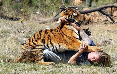 Nhiều người phải 