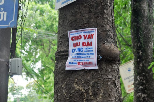 Vay bằng 'niềm tin', có lo nợ xấu? ảnh 1