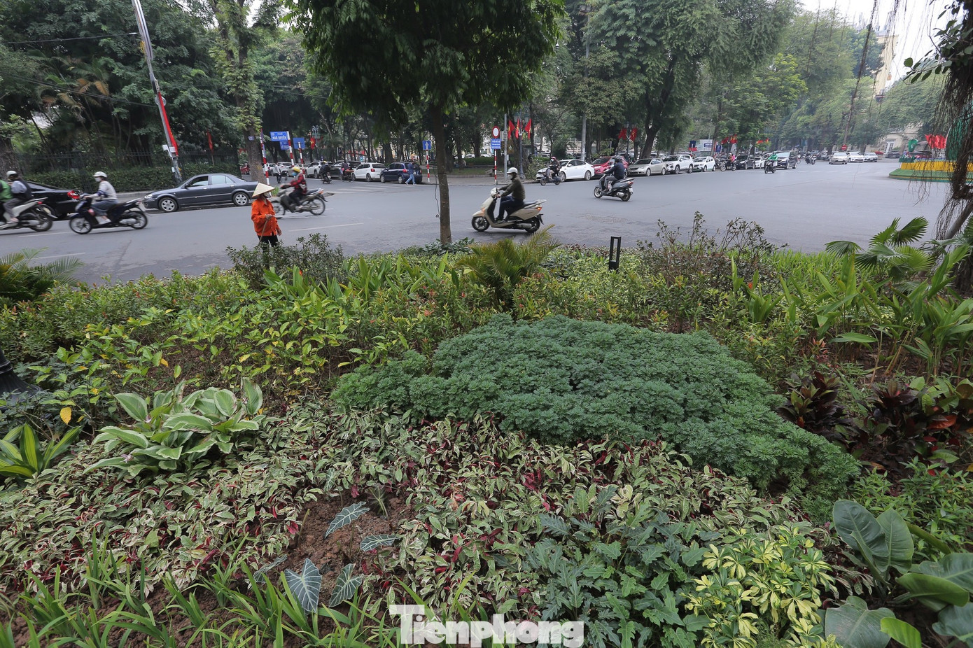 Nhiều chuyên gia đánh giá cao dự án cải tạo Vườn hoa Diên Hồng và tin tưởng dự án sẽ mang đến cho người dân Hà Nội một không gian công cộng có chất lượng cao. Ảnh: Duy Phạm