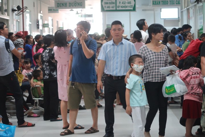 TPHCM 'bác' thông tin khói bụi mù mịt do cháy rừng ở Indonesia ảnh 3