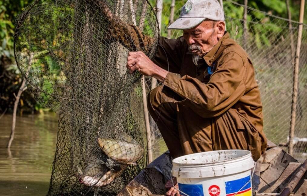 Phi công huyền thoại bắn rơi 7 máy bay Mỹ qua đời ảnh 2