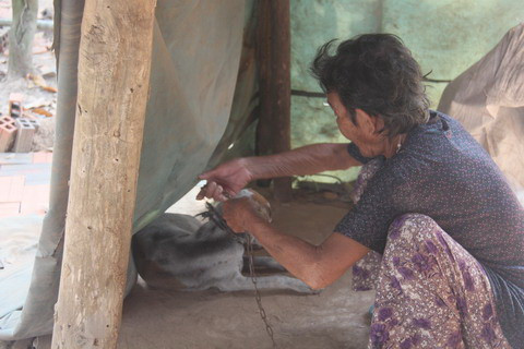 Cụ bà 80 tuổi luyện chó đi giao hàng ở Tây Ninh ảnh 2