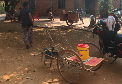 Cụ bà 80 tuổi luyện chó đi giao hàng ở Tây Ninh ảnh 4