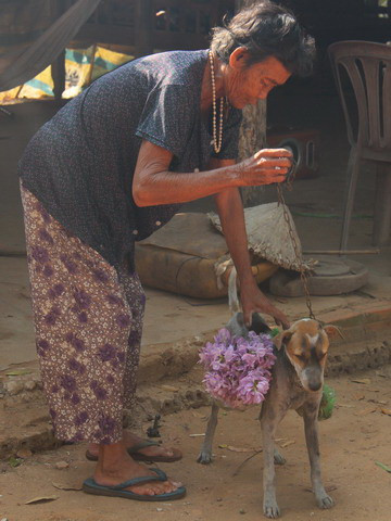 Cụ bà 80 tuổi luyện chó đi giao hàng ở Tây Ninh ảnh 1