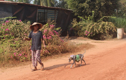 Cụ bà 80 tuổi luyện chó đi giao hàng ở Tây Ninh ảnh 3
