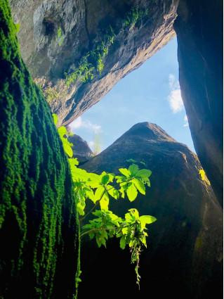 Rêu phong trong lòng Đồi Tức Dụp