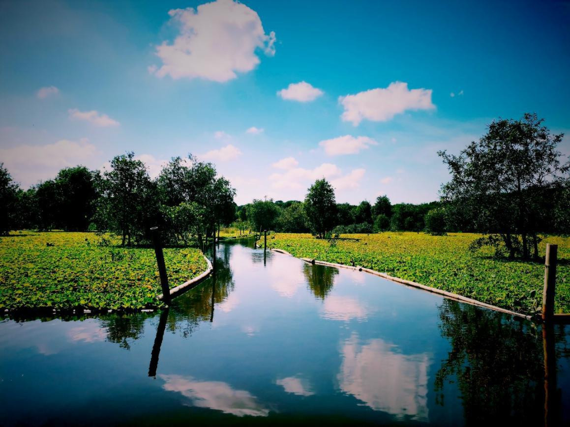 Khung cảnh trầm mặc nhưng đầy lãng mạn và nên thơ. Khung cảnh trầm mặc nhưng đầy lãng mạn và nên thơ.