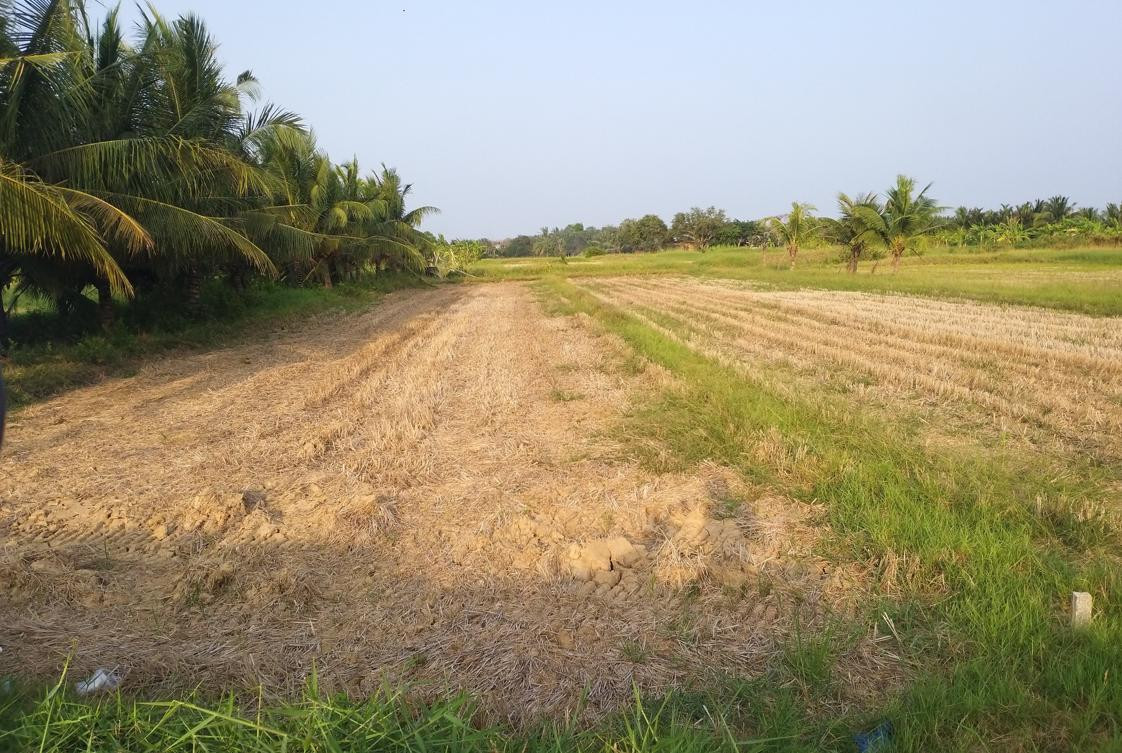 Năm nay, Bến Tre chịu ảnh hưởng nặng nề do hạn hán và xâm nhập mặn. (Nguồn: Báo Tiền Phong)