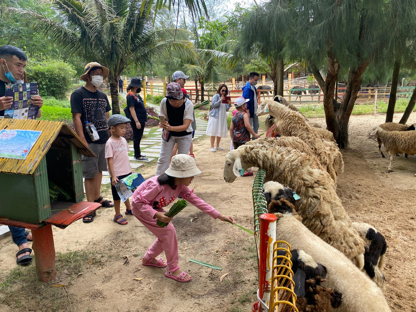 Công viên động vật bán hoang dã FLC Zoo Safari Park thuộc khuôn viên FLC Quy Nhơn đón khoảng 4.000 lượt khách tham quan trong kỳ nghỉ lễ. Ảnh: Sương Nguyễn