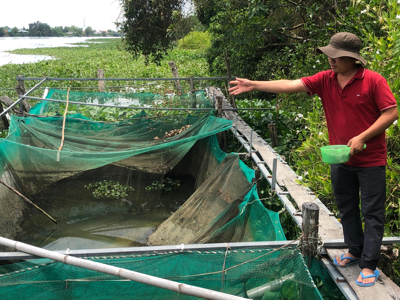 Đoàn viên Phạm Thanh Dũng vay vốn Quỹ hỗ trợ cộng đồng David Dương nuôi ếch, thả cả có doanh thu gần 300 triệu đồng/năm Đoàn viên Phạm Thanh Dũng vay vốn Quỹ hỗ trợ cộng đồng David Dương nuôi ếch, thả cả có doanh thu gần 300 triệu đồng/năm