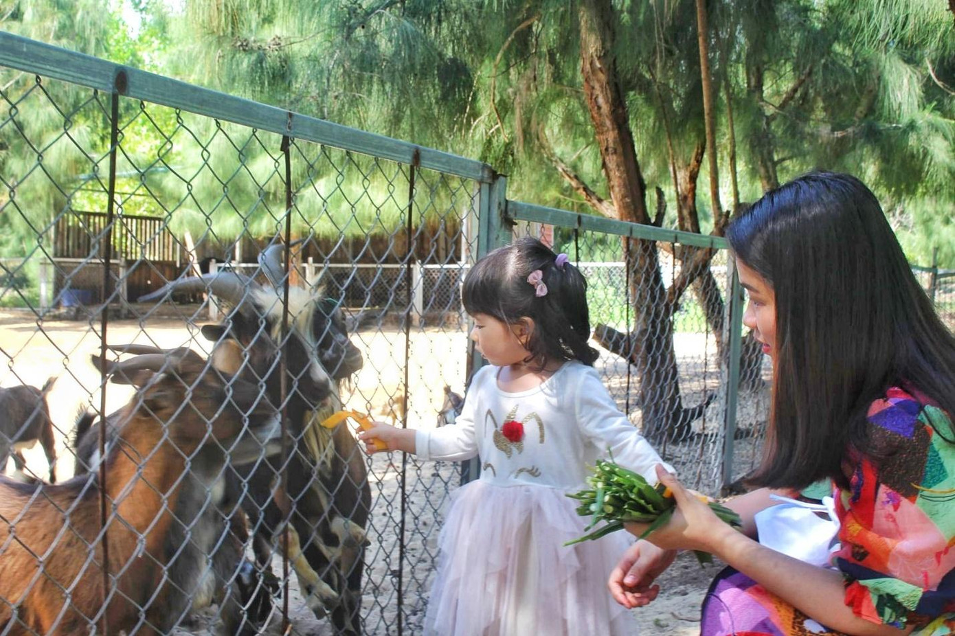 Bé thích thú khám phá thế giới nhiệt đới tại FLC Zoo Safari Park Bé thích thú khám phá thế giới nhiệt đới tại FLC Zoo Safari Park