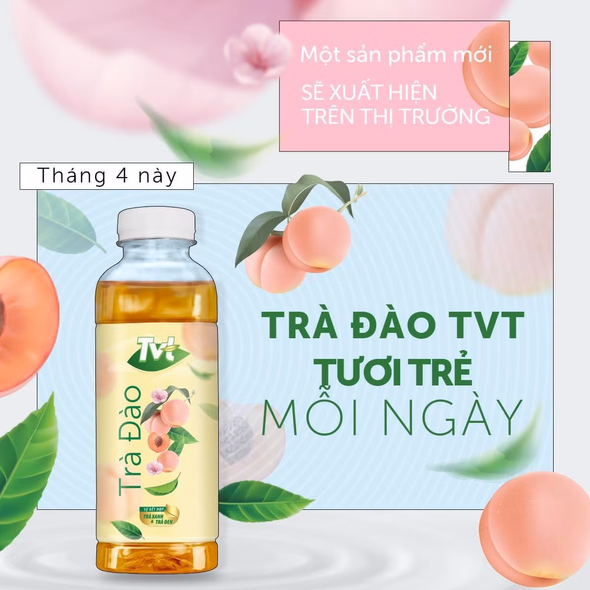 Trà đào TVT
