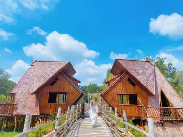 Bước sâu vào tâm rừng Trà Sư Bước sâu vào tâm rừng Trà Sư