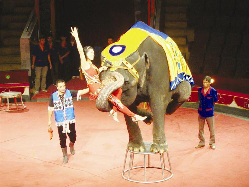 Một màn biểu diễn xiếc ở Tây Nguyên. Ảnh: Hoàng Thiên Nga