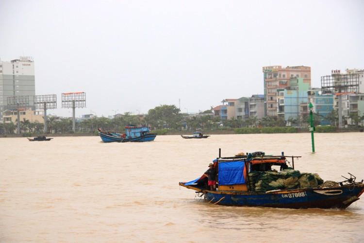 Các loại tàu hối hả di chuyển trên sông Hàn