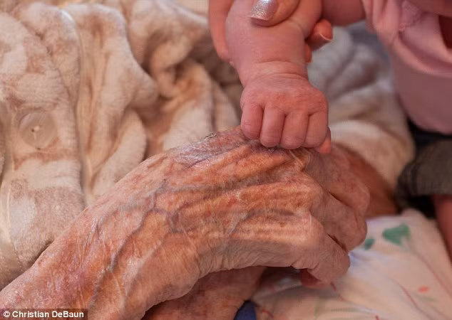 Bàn tay của chít và cụ Mollie