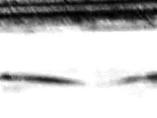 Ảnh chụp “quái vật biển” từ đoạn video Ảnh: Discovery 