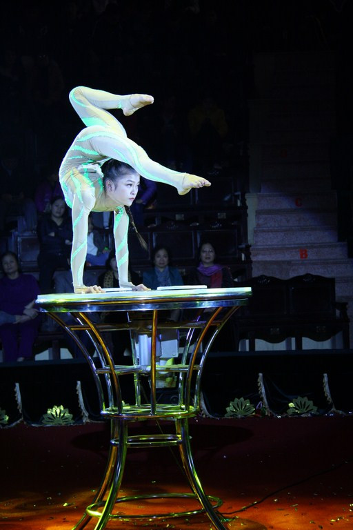 Diễu hành xiếc ở phố đi bộ Hồ Gươm ảnh 2