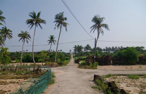 Đảo bé Lý Sơn - nơi bạn muốn đến không chỉ một lần ảnh 3