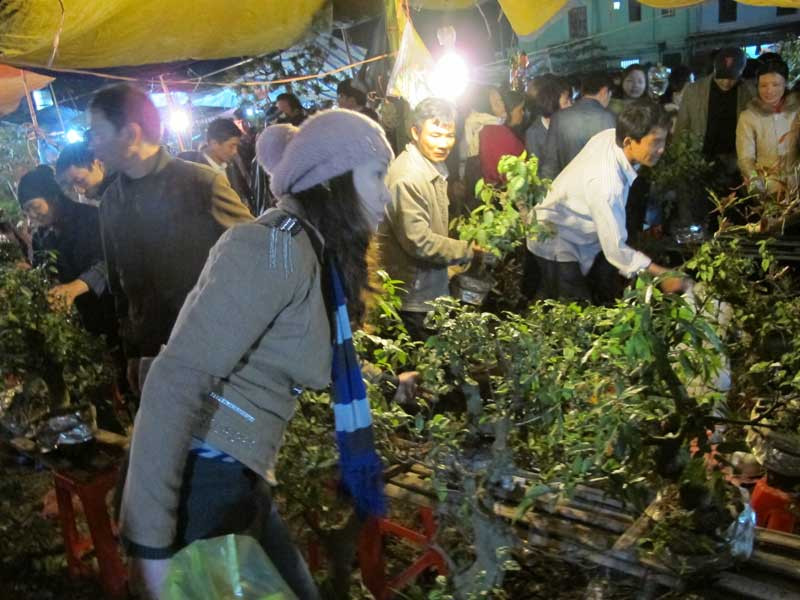 Cây cảnh đủ loại được bán với giá từ vài chục nghìn đến hàng triệu đồng