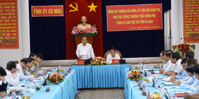 Phó Thủ tướng Trương Hòa Bình: Cà Mau cần đột phá để trở thành tỉnh khá ảnh 1