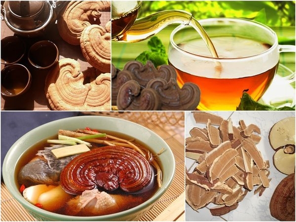 Dùng nấm linh chi theo cách này sẽ gây hại cho cơ thể ảnh 1