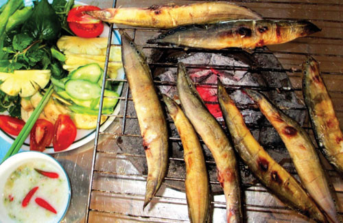 Món ăn từ cá 'tốt hơn Viagra' cho quý ông ảnh 1