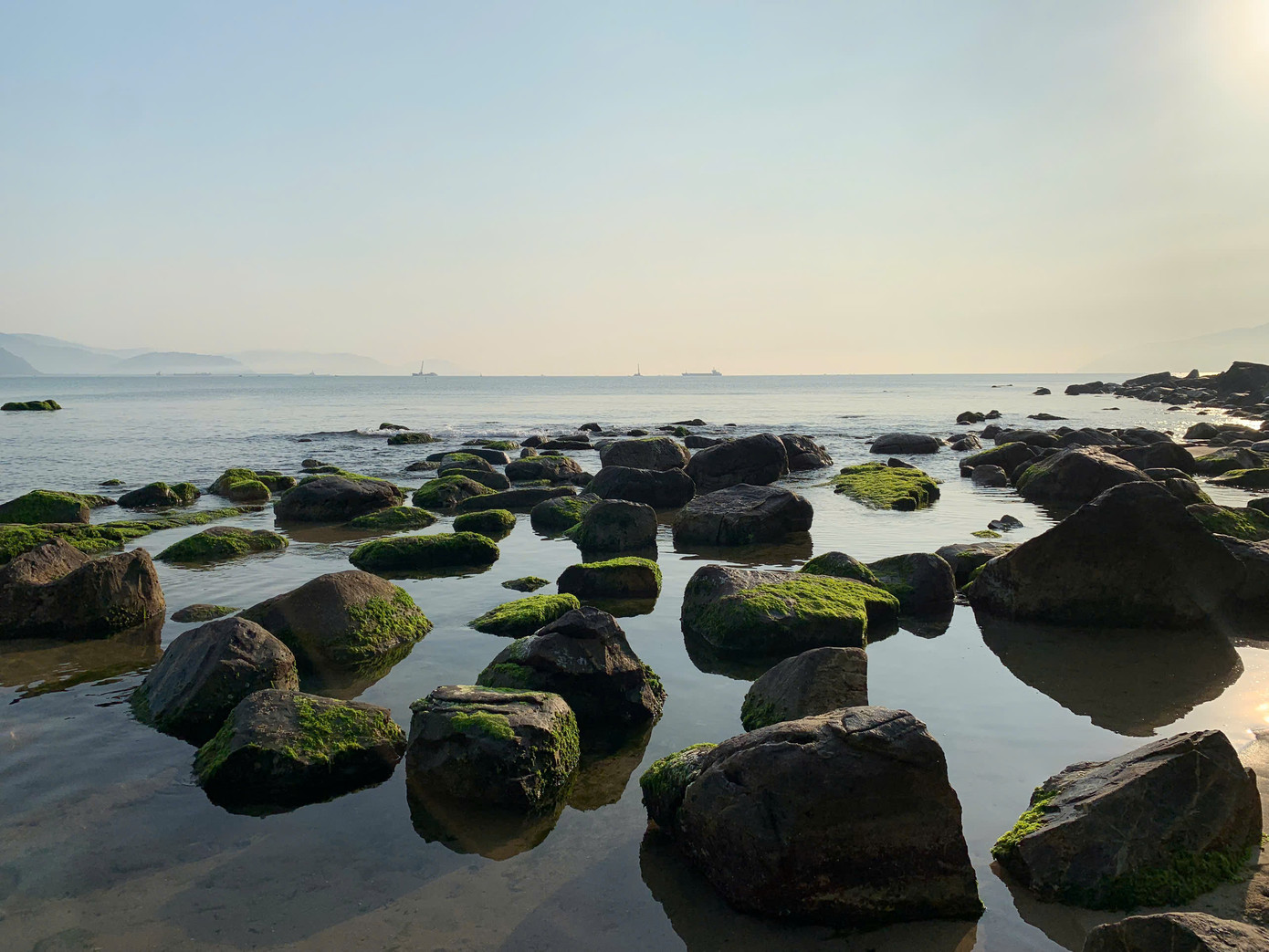 Bãi rêu phủ xanh khắp mặt đá trong không gian biển cả yên ả lúc sáng sớm. Ảnh: Văn Thuận