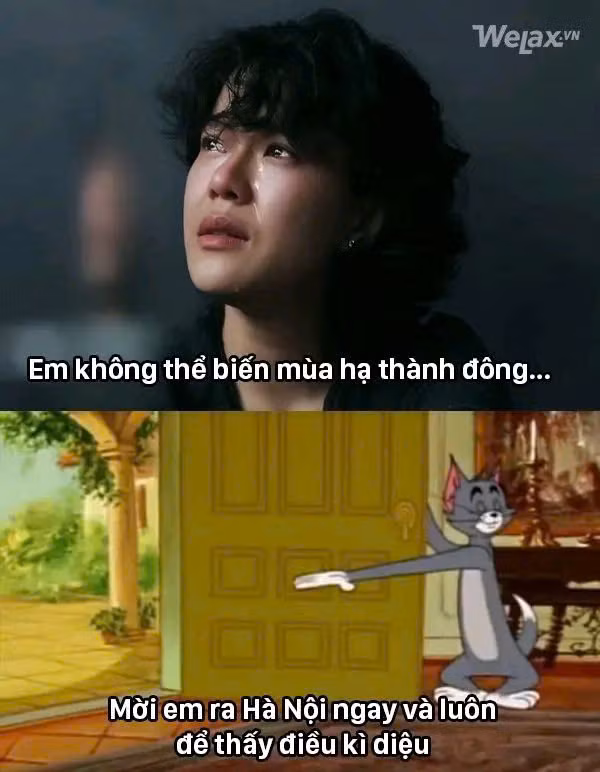 Nguồn: Welax Nguồn: Welax