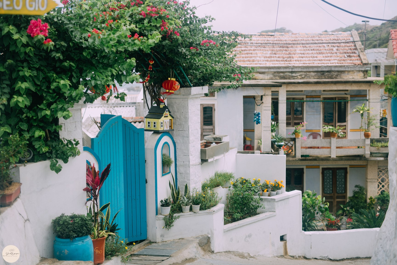 Hình ảnh con dốc tại làng chài Nhơn Lý đã trở thành địa điểm check-in nổi tiếng. Ảnh: Ivivu