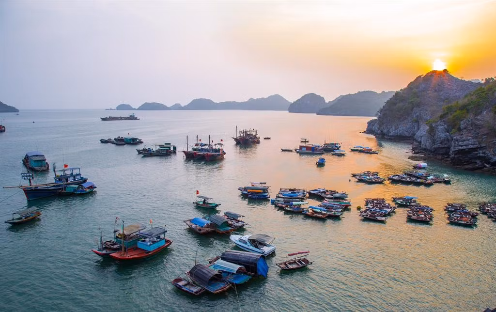 Hình ảnh làng chài cổ Cái Bèo. Ảnh: Dulich24