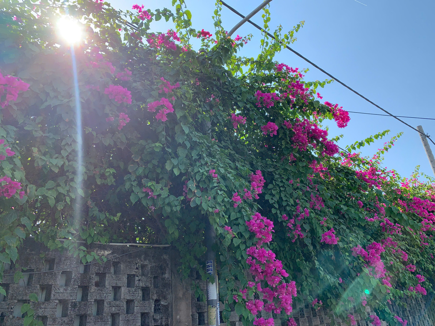 Một góc nhỏ làm ta ngỡ như lạc vào những làng chài thường thấy trong những bộ phim Hàn Quốc. Ảnh: Văn Thuận