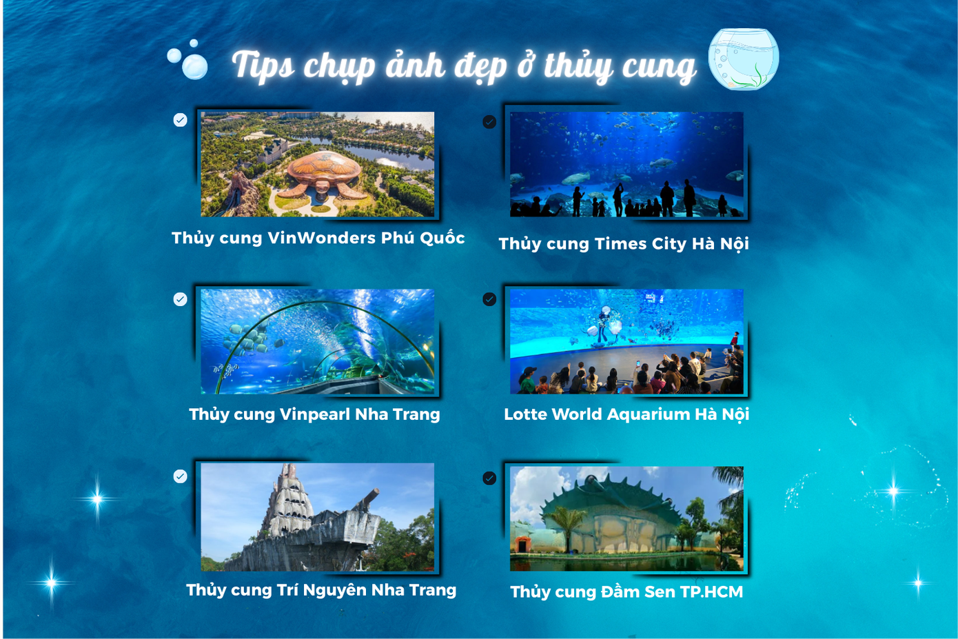 Gợi ý những thủy cung hot cho teen mê "sống ảo". - Tổng hợp: Gia Ảnh Gợi ý những thủy cung hot cho teen mê "sống ảo". - Tổng hợp: Gia Ảnh