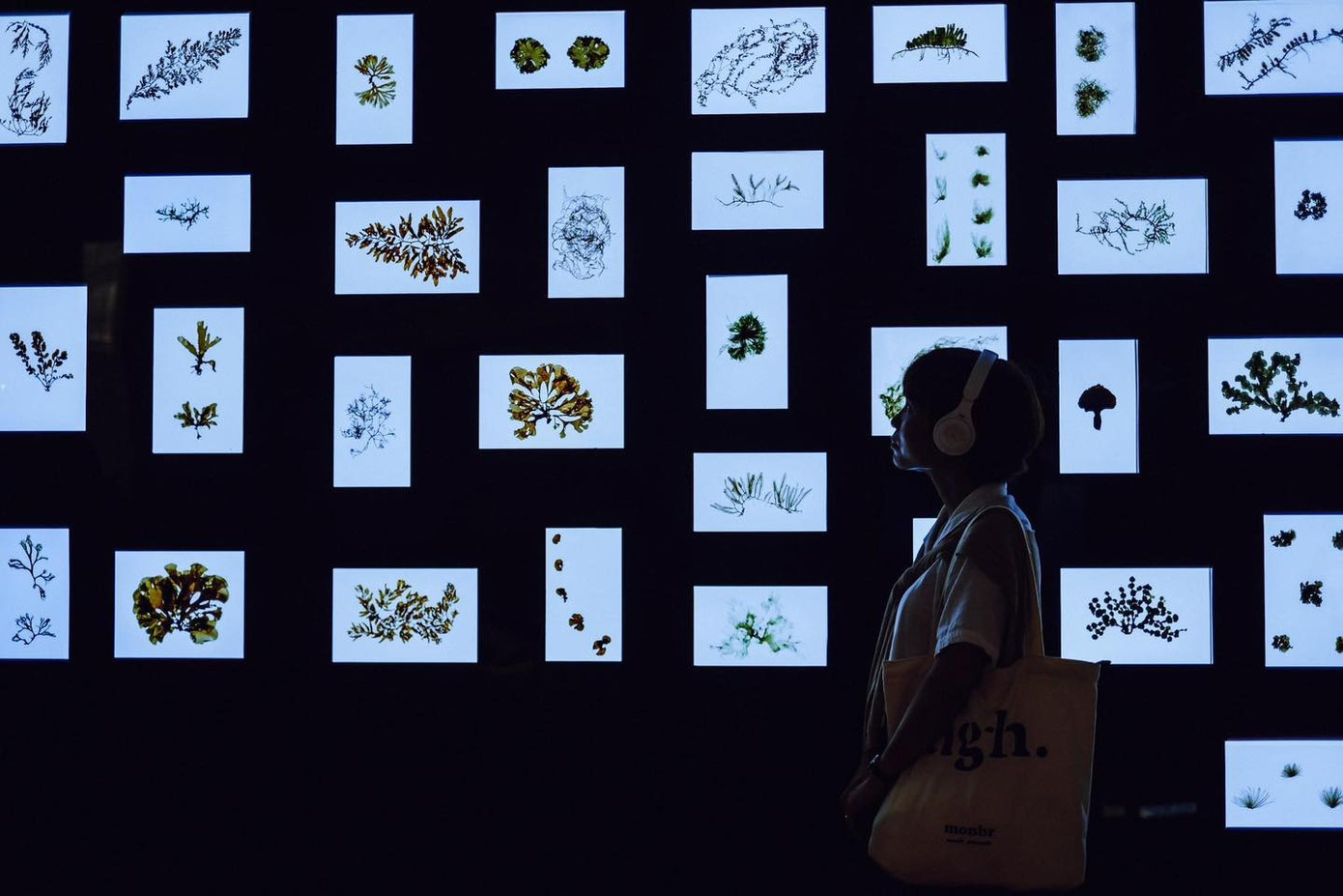 Nhiều góc check-in đẹp dành cho teen mê sống ảo. Ảnh: Nha Trang xinh đẹp