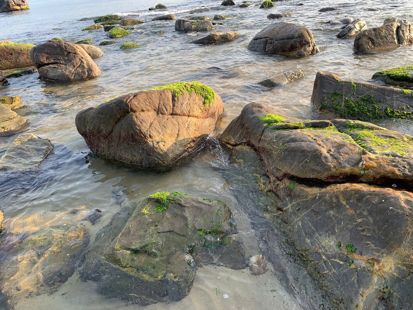 Nước biển ở bãi rêu trong vắt. Ảnh: Văn Thuận