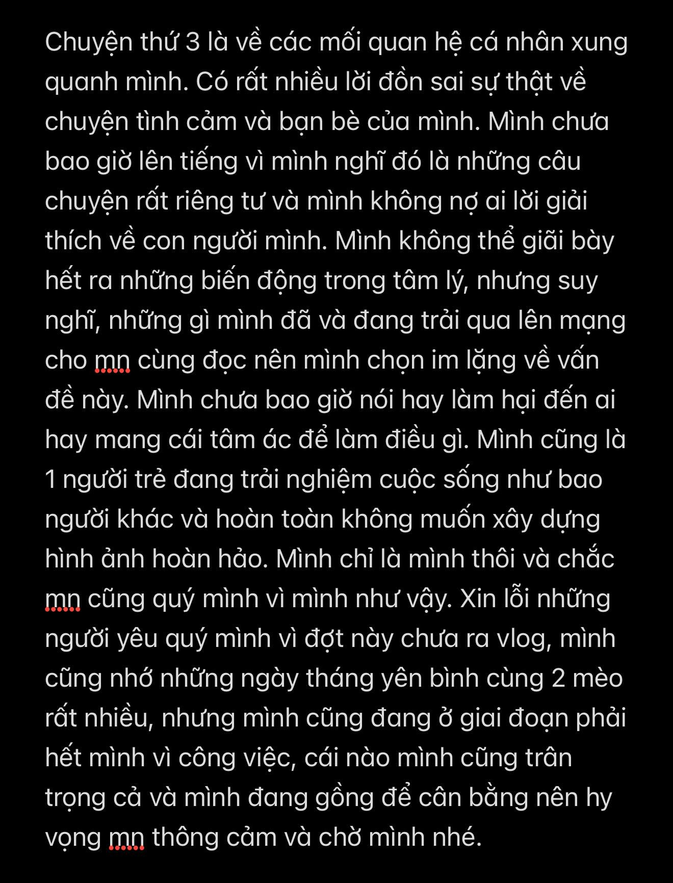 Nữ vlogger lên tiếng trên trang cá nhân của mình. Ảnh: thach_trangg