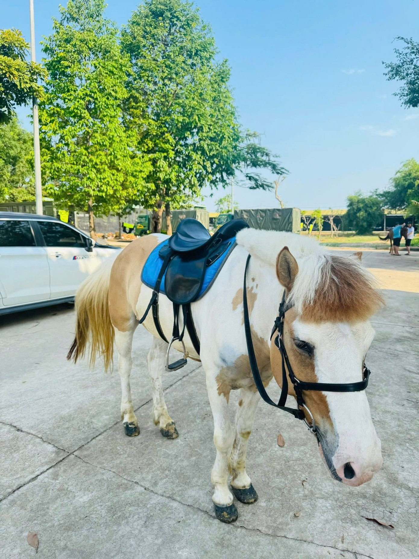 "Và đây là em ý ngoài đời"... Nguồn: Thanh Tiên "Và đây là em ý ngoài đời"... Nguồn: Thanh Tiên