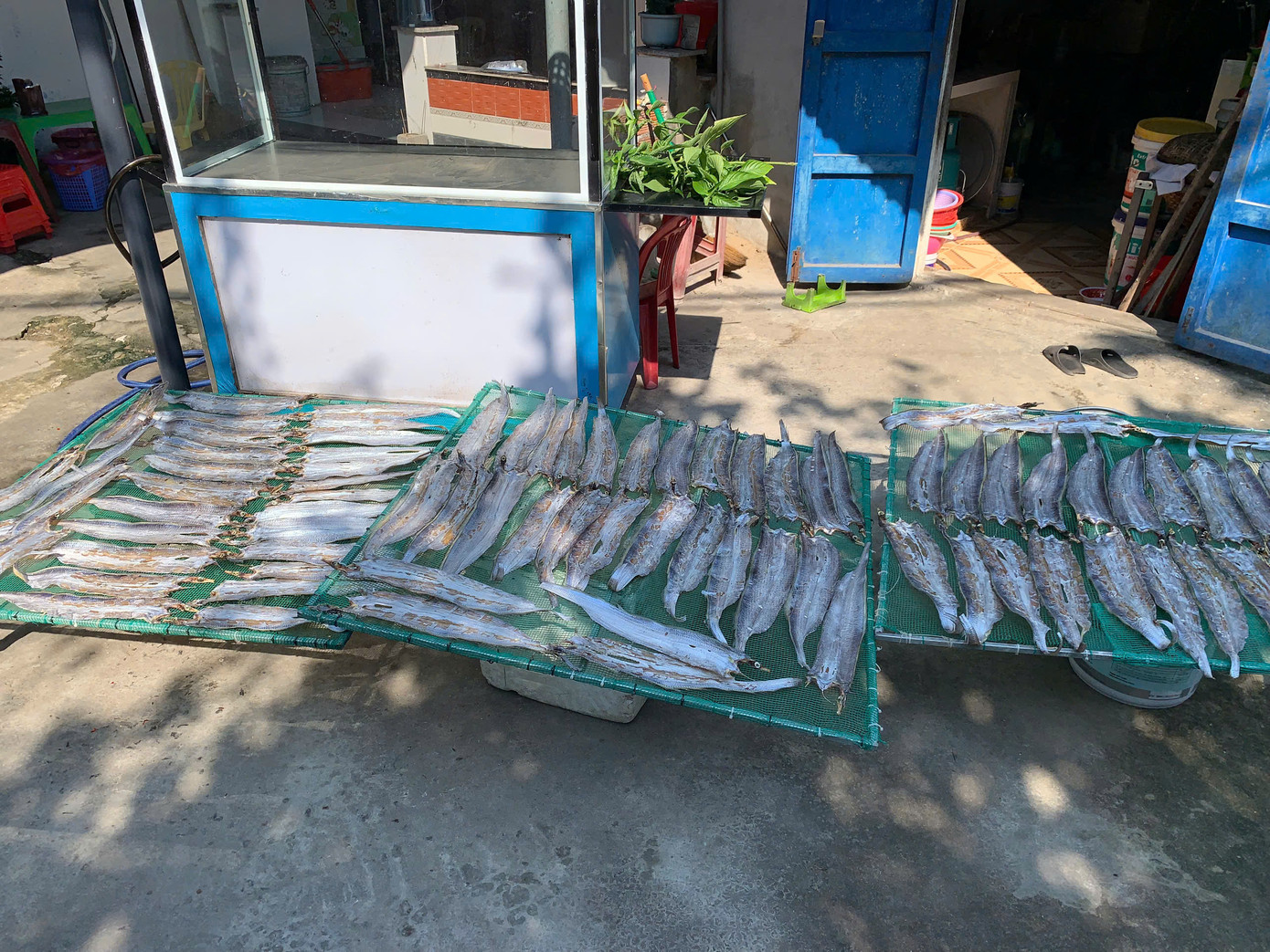 Đi trên con đường của làng chài ta sẽ bắt gặp những sạp cá được người dân địa phương phơi nắng trước sân nhà.