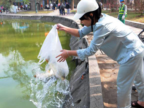 Tại các khu vực khác như Hồ Gươm, Hồ Tây, sông Hồng...ý thức của người dân cũng cao hơn