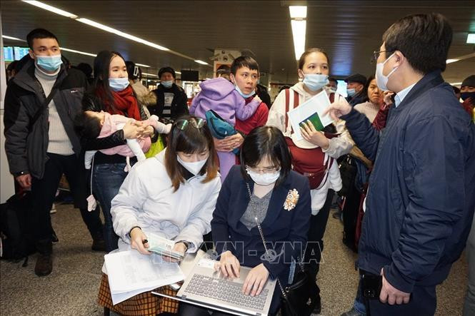 Cán bộ Đại sứ quán Việt Nam tại Ba Lan hỗ trợ thủ tục lên máy bay cho kiều bào sơ tán từ Ukraine. Ảnh: Hồng Kỳ/Phóng viên TTXVN tại Trung và Đông Âu