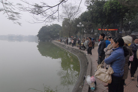 Hàng trăm người dân có mặt xem 'cụ' rùa vào sáng nay