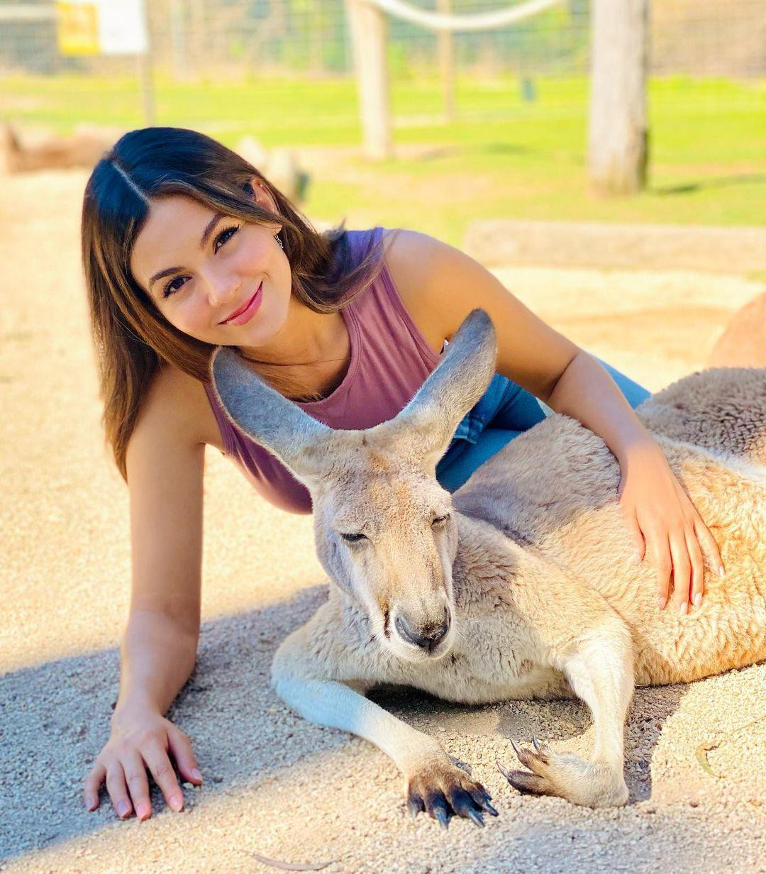 Người đẹp 9x Victoria Justice thích thú chụp ảnh cùng kangaroo trong chuyến đi đến Úc. Ảnh: Instagram