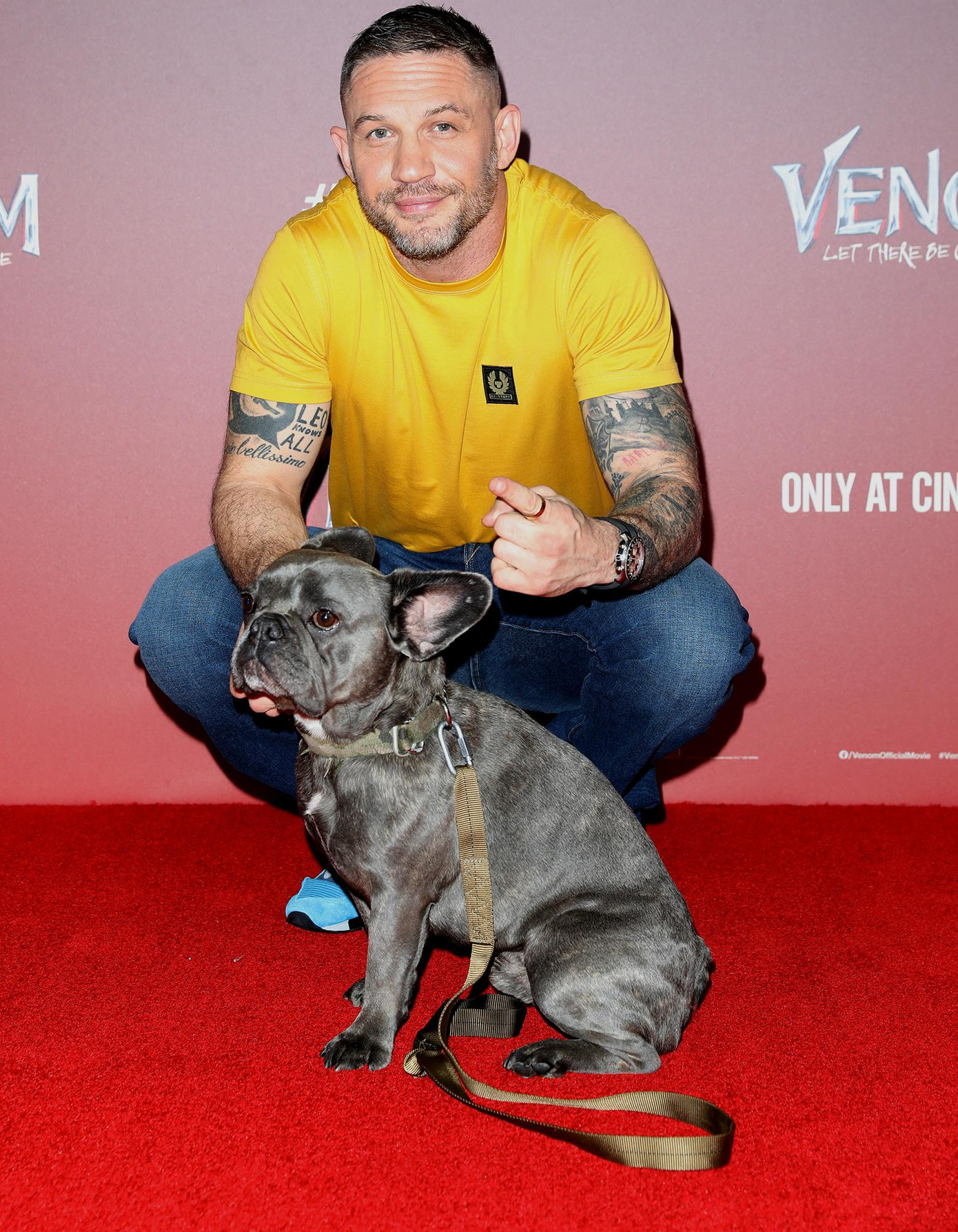 Tom Hardy dẫn chó cứng Blue dự buổi chiếu phim "Venom: Let There Be Carnage" ở London. Ảnh: Getty Images