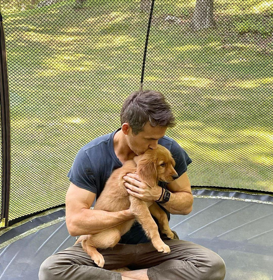 Tài tử "Deadpool" Ryan Reynolds dành cho chó cưng một nụ hôn ngọt ngào. Ảnh: Instagram.