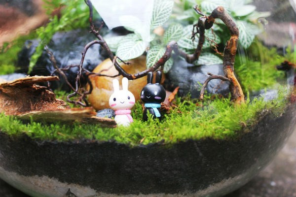 Nữ kiến trúc sư bỏ việc nhà nước, kiếm 40 triệu/tháng từ cây cảnh mini ảnh 6