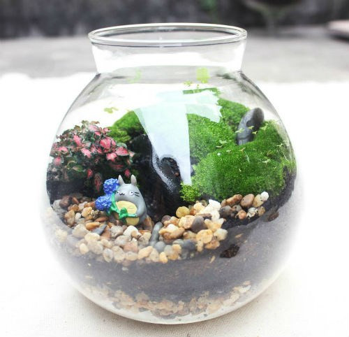 Nữ kiến trúc sư bỏ việc nhà nước, kiếm 40 triệu/tháng từ cây cảnh mini ảnh 11